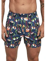 Pánské trenýrky model 22127020 - Cornette