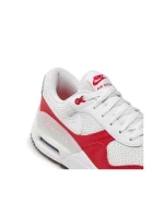 Pánske topánky Nike Air Max DM9537-104