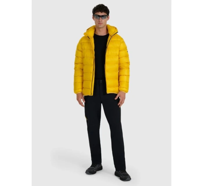 Pánske trekingové nohavice 4F 4FRAW25TFTRM1233-20S Pánske trekingové nohavice 4F 4FRAW25TFTRM1233-20S