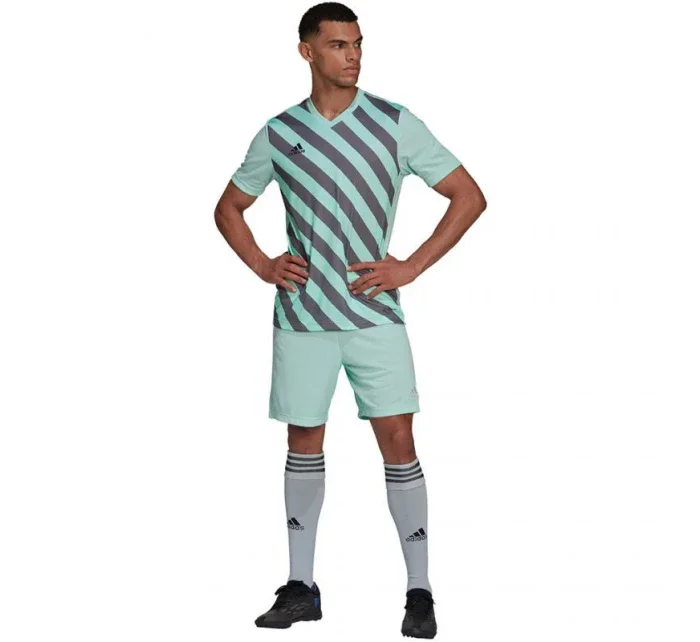 Pánský dres Entrada 22 Graphic Jersey M model 17113154 - ADIDAS