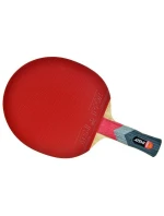 Raketa na stolní tenis model 20800359 1000 - Atemi