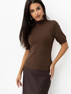 Sweter PM SW model 22334119 brązowy - FPrice