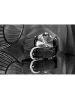 Pánské hodinky model 21805989 + krabice - CASIO Pánské hodinky model 21805989 + krabice - CASIO