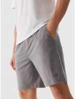 Pánské sportovní rychleschnoucí šortky 4F - šedé Pánské sportovní rychleschnoucí šortky 4F - šedé