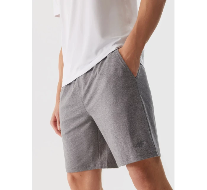 Pánské sportovní rychleschnoucí šortky 4F - šedé Pánské sportovní rychleschnoucí šortky 4F - šedé