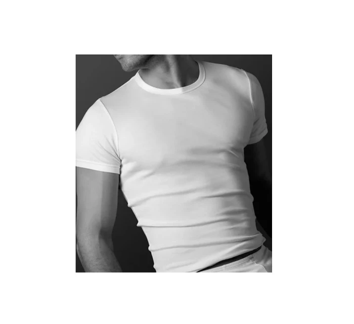 Pánské tričko model 20839734 - Atlantic