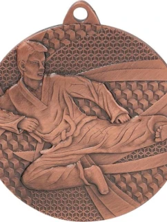 Bronzová medaila - karate - oceľová medaila