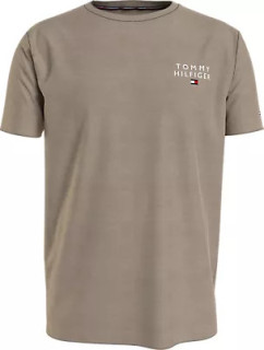 Pánská trička CN SS TEE LOGO UM0UM02916AEG - Tommy Hilfiger