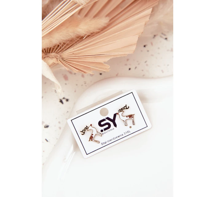 Náušnice model 21791543 ze chirurgické oceli - Boto