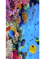 Plážový ručník Luna model 20965424 - Cotton World