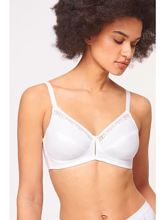 Soft model 230065 Triumph