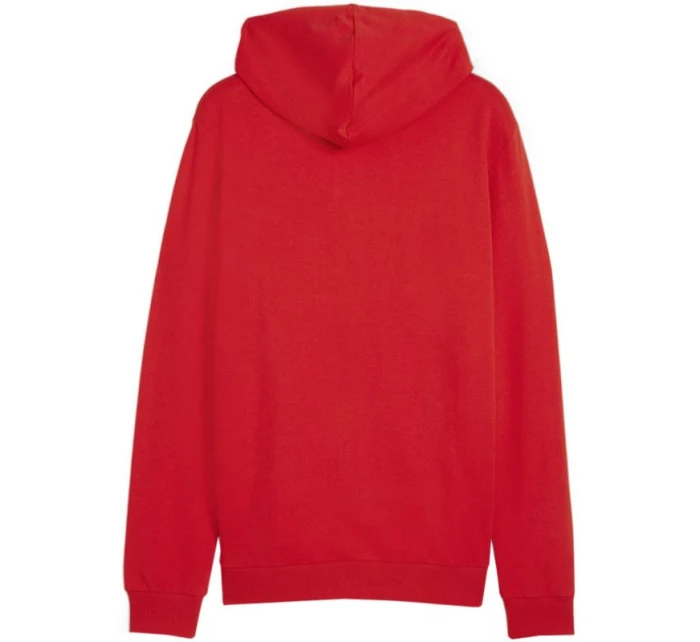 Puma Team Goal Casuals Hooded M 658595 01