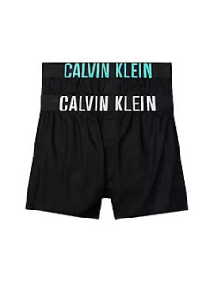 Pánské spodní prádlo BOXER SLIM 2PK 000NB3833AMVL - Calvin Klein