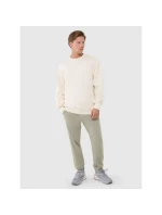 Pánska nadrozmerná mikina s kapucňou 4F 4FWSS25TSWSM1536-80S-12S pánska Pánska nadrozmerná mikina s kapucňou 4F 4FWSS25TSWSM1536-80S-12S pánska