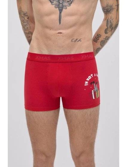 VÁNOČNÍ BOXERKY model 21482145 - Ysabel Mora