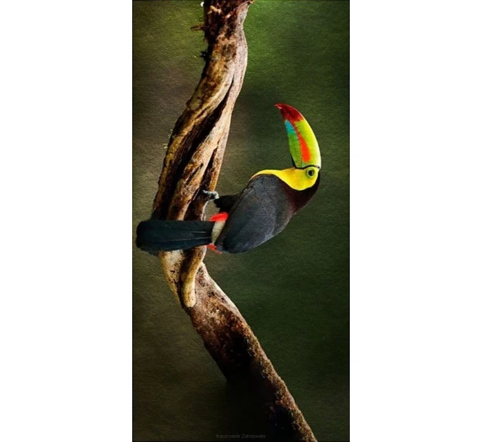 Plážový ručník Luna model 20965424 - Cotton World