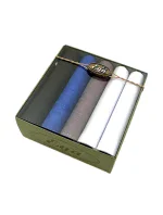 Pánské kapesníky model 20606609 A'5 - EGA