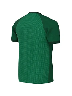Dětské tričko Nike Dri-FIT Trophy VI, zelené, HV8158 302