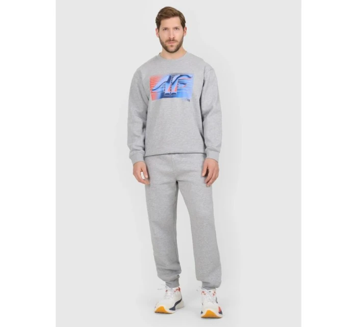 Pánske tepláky typu jogger 4F 4FRAW25TTROM1832-27M