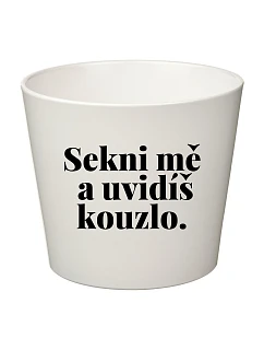SEKNI MĚ A UVIDÍŠ KOUZLO. - velký květináč