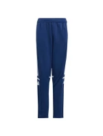 Nohavice adidas Squadra 25 Training Jr JD4799