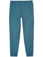 Nohavice 4F M 4FWAW24TFTRM682 46M