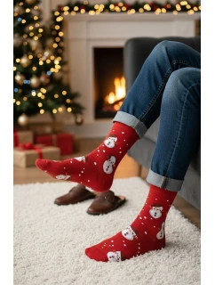 Pánské vánoční ponožky model 21327636 4146 - Steven