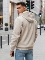 Pánská přechodná bunda s kapucí béžová Dstreet model 21986410 - FashionStreet