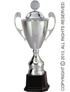 Strieborný kovový hrnček s viečkom