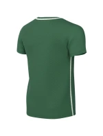 Detské tričko Nike Dri-Fit Park 26 green HM7134 302