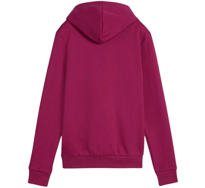 Puma ESS Logo Hoodie FL W 586789 52