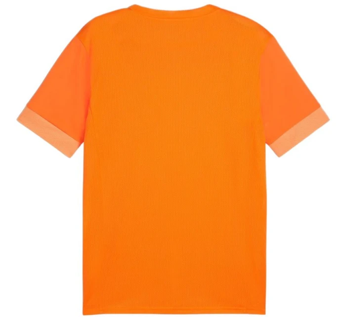 teamGoal Jersey M 08 pánské model 21283917 - Puma