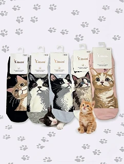 Nohy   3542 model 22129093 - WiK