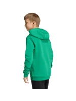 Dětská mikina Entrada 26 Hoody zelená model 21910919 - ADIDAS