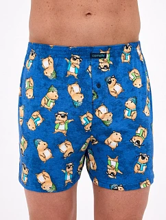 Pánské trenýrky classic model 22108065 - Cornette