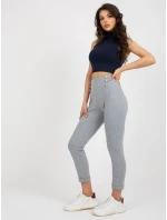 Spodnie dresowe RV DR model 21764473 szary - FPrice