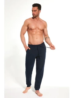 PÁNSKÉ KALHOTY model 21936847 W/26 - Cornette