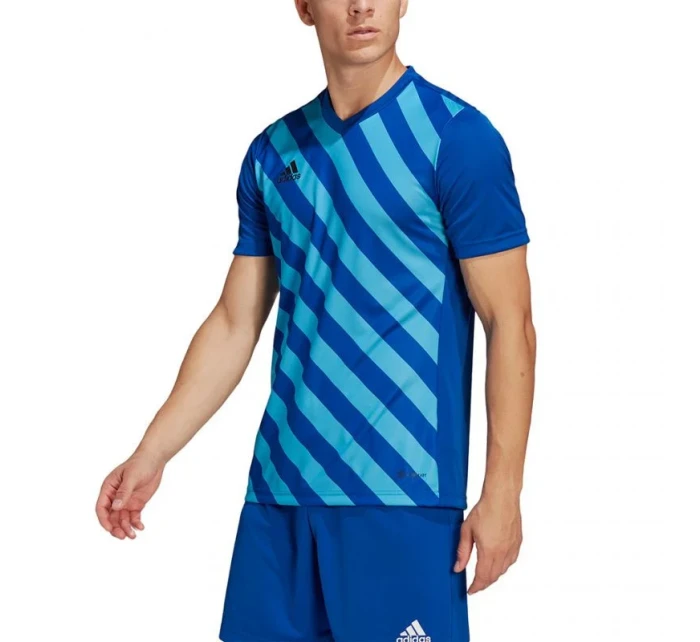 Pánsky dres Entrada 22 Graphic Jersey M HF0116 - Adidas