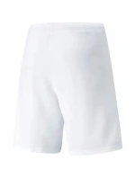 Pánske teamRISE Short M 704942 03 - Puma