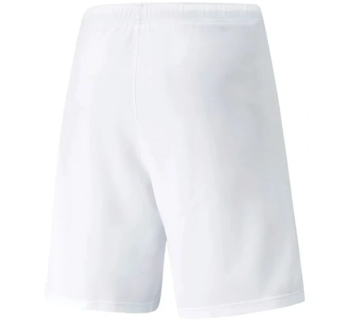 Pánske teamRISE Short M 704942 03 - Puma