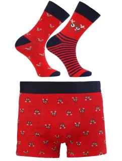 kolor:red model 20614207 - Moraj