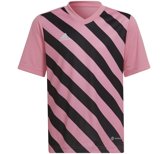 Entrada 22 Graphic Jersey Jr HC2632 - Adidas