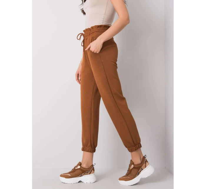 Tepláky 217 DR 25472.73 hnedá