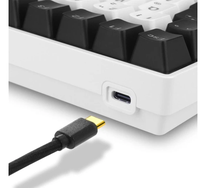 Sharkoon SKILLER SGK50 S3 USB QWERTZ herná klávesnica nemecká biela Sharkoon SKILLER SGK50 S3 USB QWERTZ herná klávesnica nemecká biela