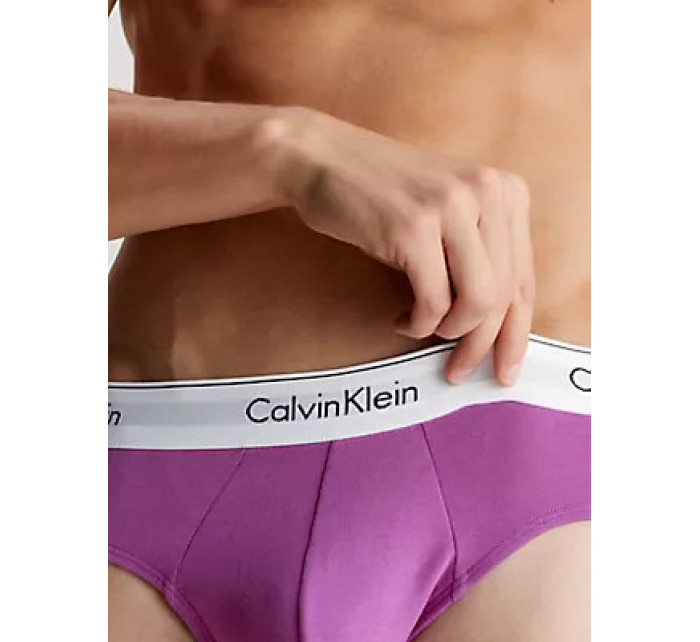 Pánské spodní prádlo HIP BRIEF 3PK 000NB2379AM8U - Calvin Klein
