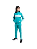 Tepláky adidas Seasonal Essentials Tiberio 3-Stripes Tricot Jr JN2245