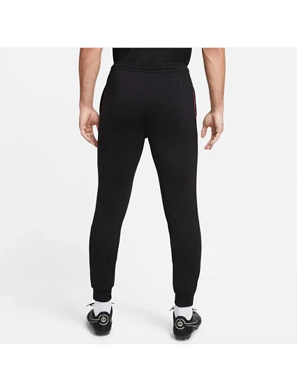 Pánské tréninkové kalhoty DriFit M 010  model 17406597 - NIKE