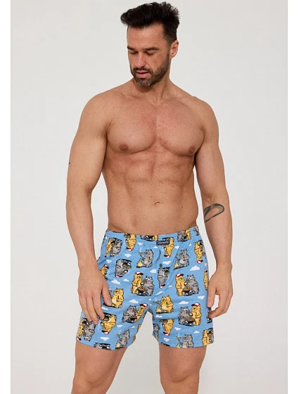 Pánské trenýrky model 22108740 - Cornette