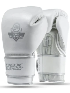 Boxerské rukavice z přírodní kůže s výplní  Legacy Series | DBX model 21754423 - DBX Bushido