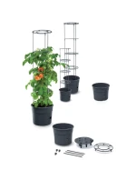 KVETINÁČ NA SADENIE PARADAJOK S REBRÍKOM S OBJEMOM 12 L